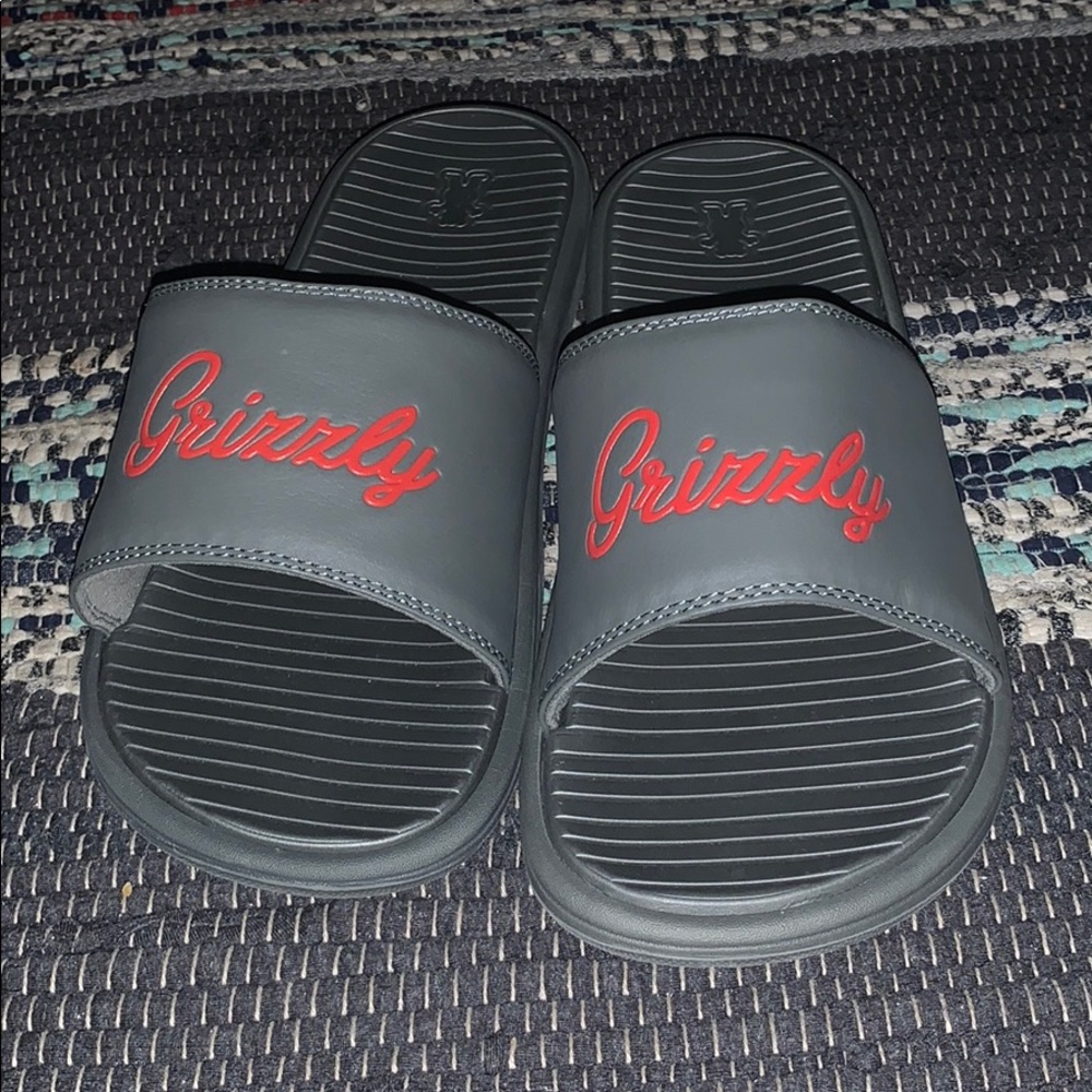 Grizzly Slides